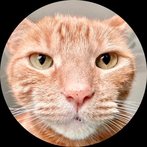 cliff_leonard
